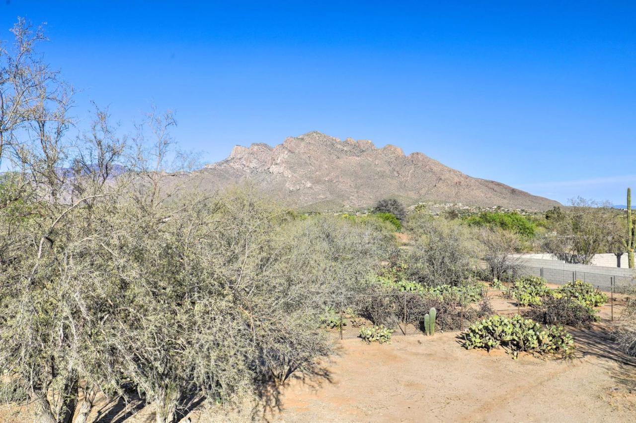 Oro Valley Retreat With Pool, Spa And Rooftop Views! Dış mekan fotoğraf